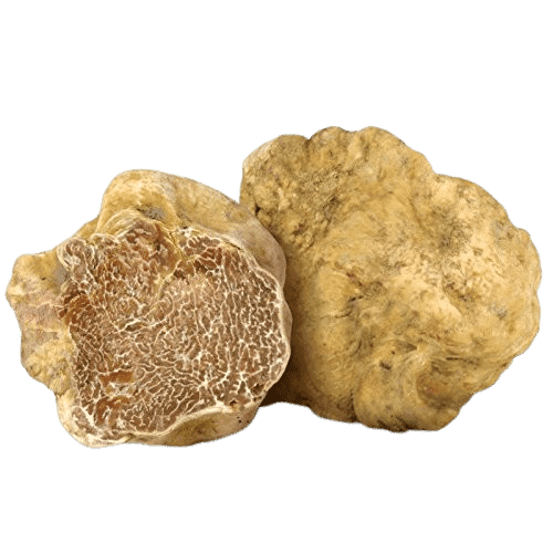 Tartuf i bardhë Tuber magnatum Pico